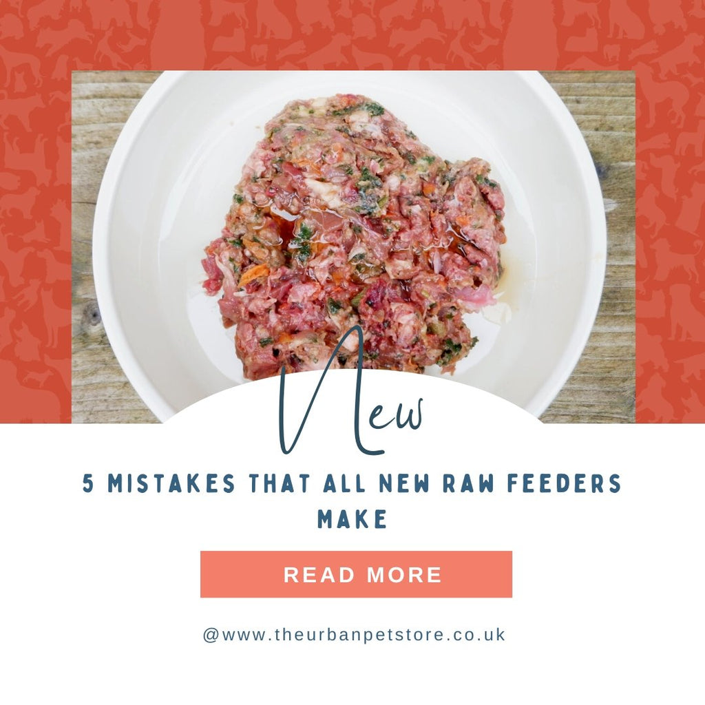 5 Mistakes That New Raw Feeders Often Make - The Urban Pet Store