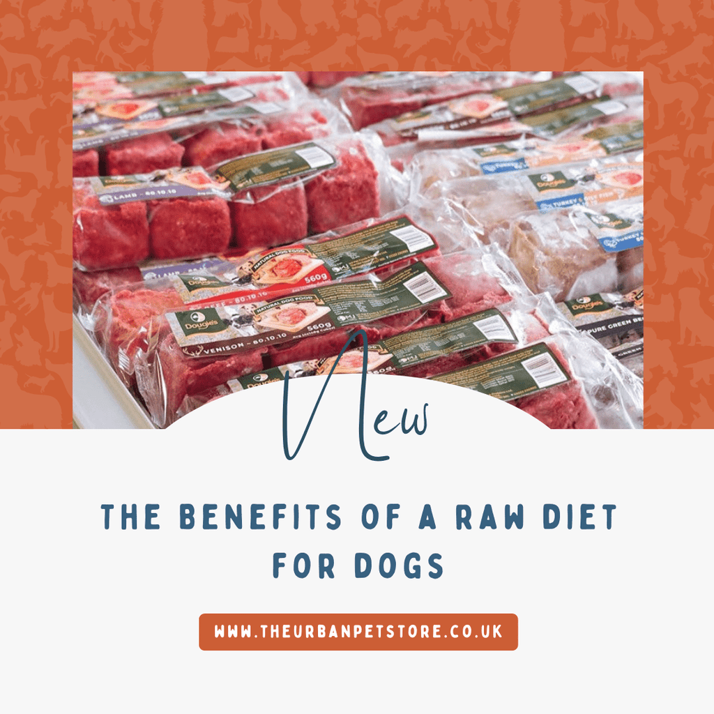 The Benefits of a Raw Diet for Dogs - The Urban Pet Store