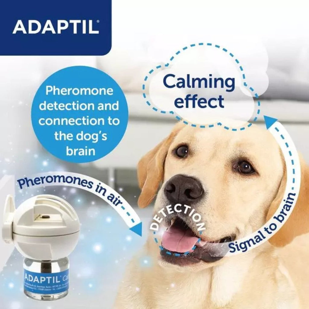 Adaptil Calm Diffuser - The Urban Pet Store - Pet SuppliesAdaptil3411112168729