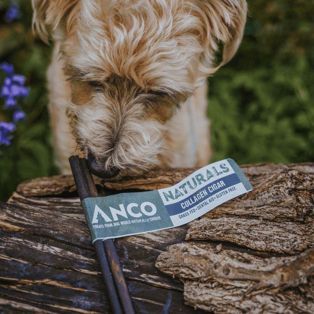 Anco Collagen Cigars - The Urban Pet Store - Dog Treats