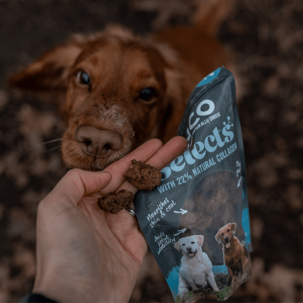 Anco Selects Duck Bites with Collagen 85g - The Urban Pet Store - Dog TreatsAnco5060586236380