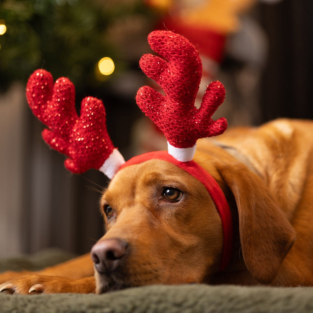 House of Paws Red Sparkle Antler Headband - The Urban Pet Store - Dog Apparel