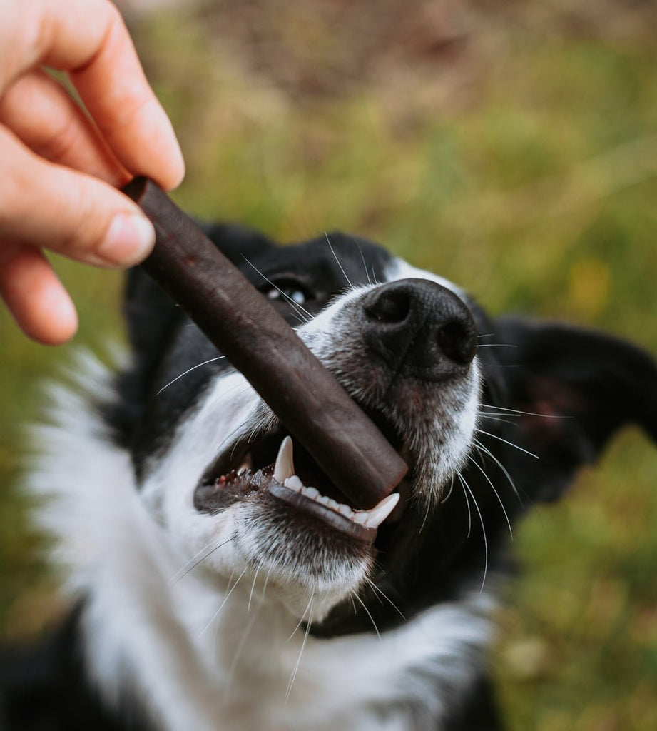 Ostrich Prime Tender Sticks - The Urban Pet Store - Dog Treats