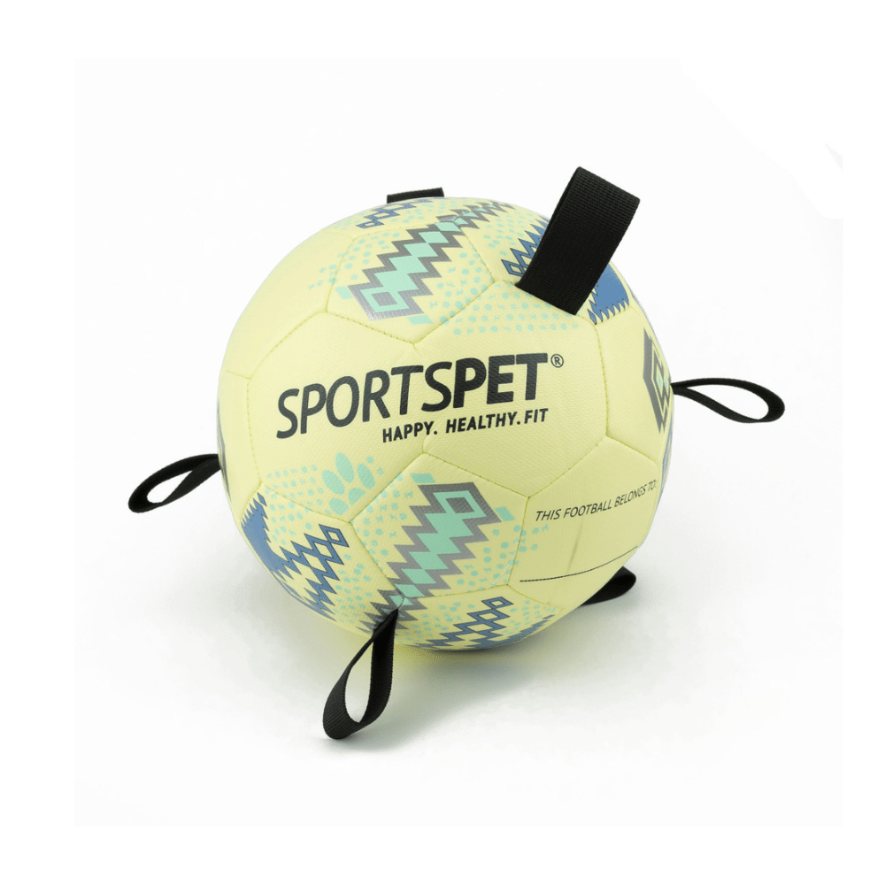 Sportspet Tab Footballs Size 2 - The Urban Pet Store - Dog ToysSportspet5065011928854