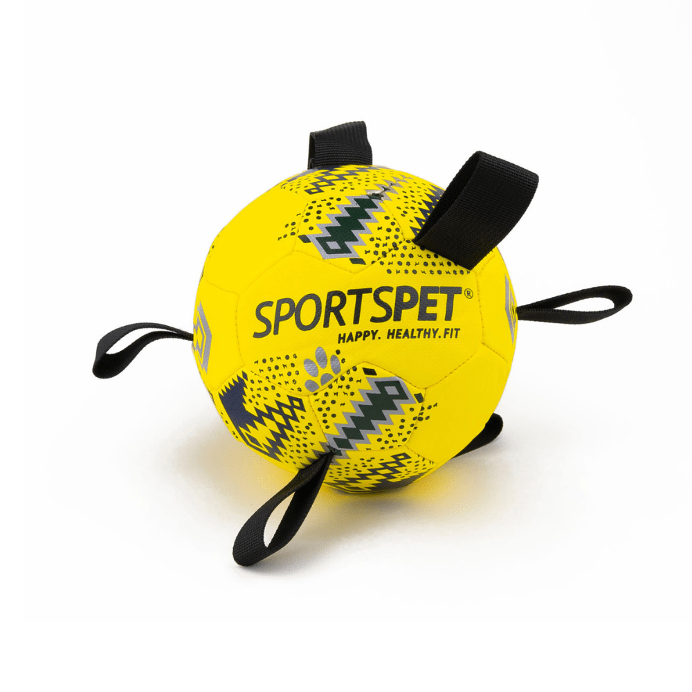 Sportspet Tab Footballs Size 2 - The Urban Pet Store - Dog ToysSportspet5065011928854