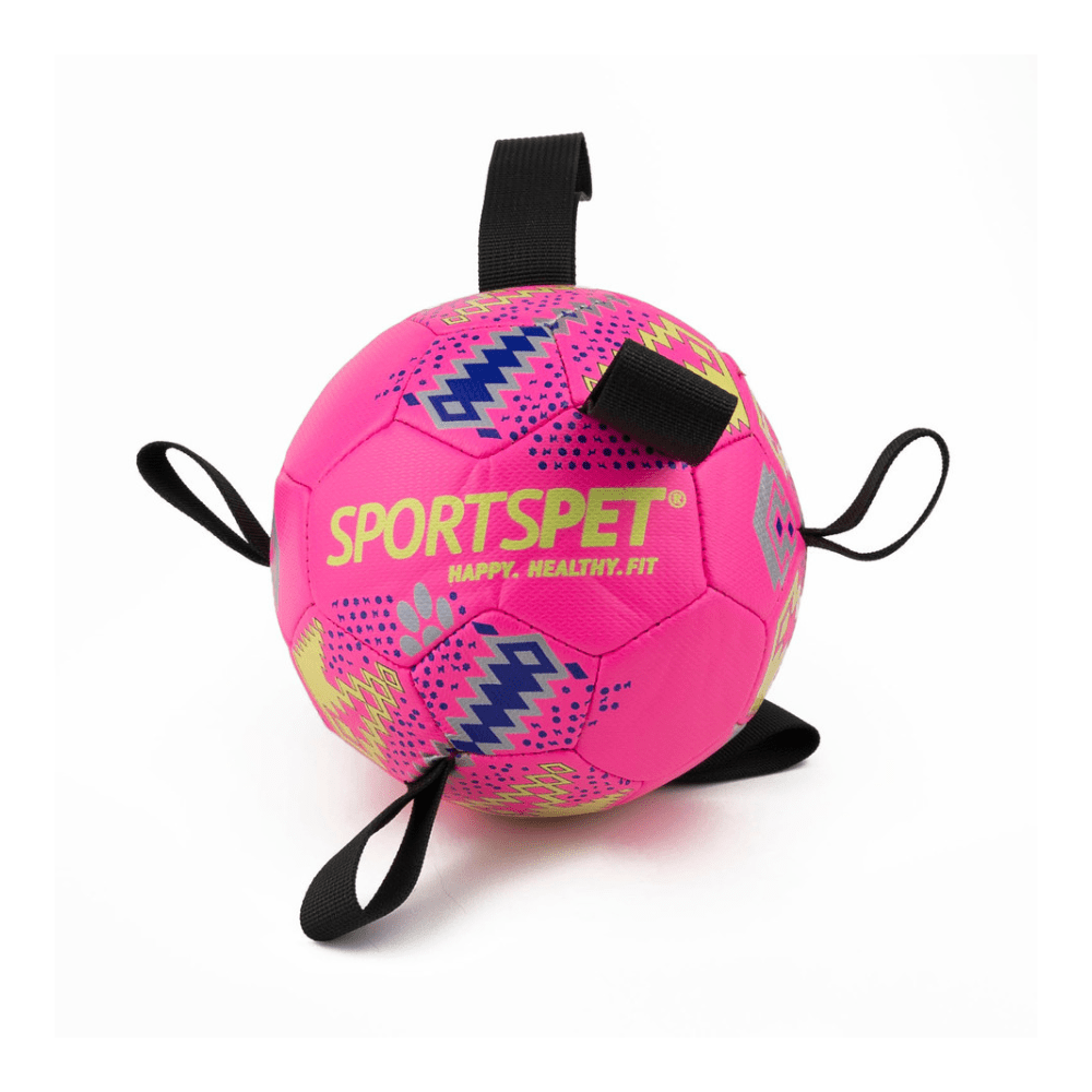 Sportspet Tab Footballs Size 2 - The Urban Pet Store - Dog ToysSportspet5065011928854