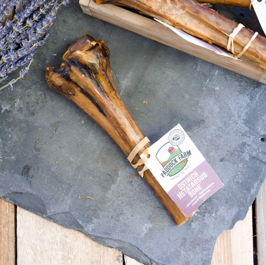 Ostrich Metatarsus Bone - The Urban Pet Store -