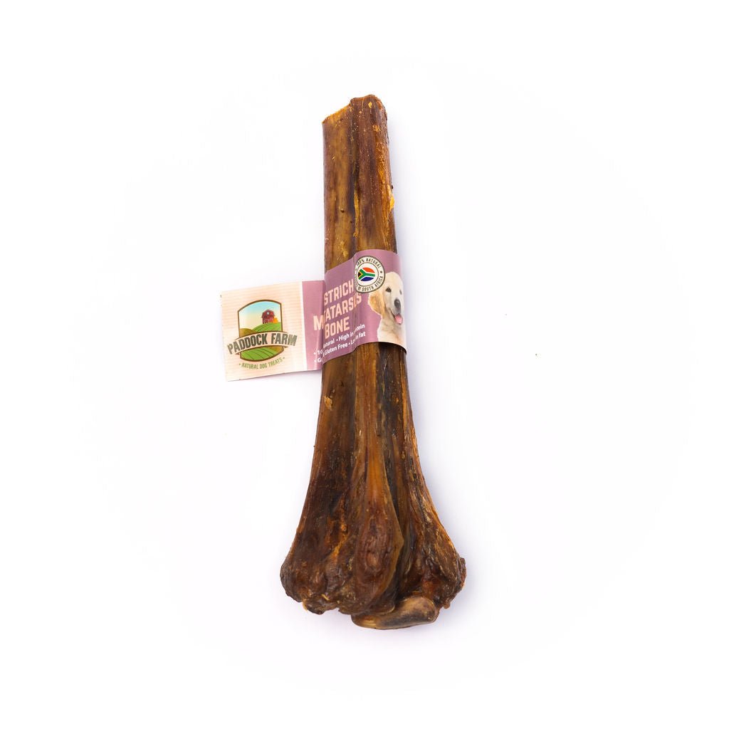 Ostrich Metatarsus Bone - The Urban Pet Store -